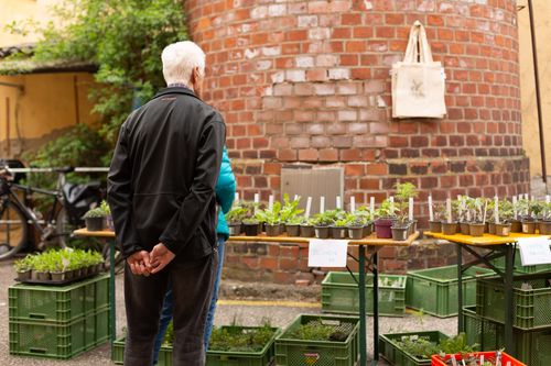 Pflanzlmarkt & Frühschoppen im Schlot